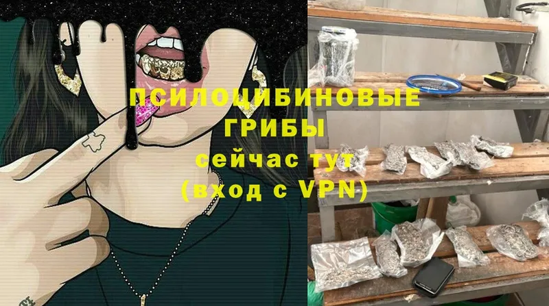 Галлюциногенные грибы GOLDEN TEACHER  где найти наркотики  darknet формула  Курганинск 